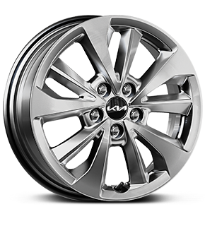 17-inch 235/65R17 alloy wheel (B-type)