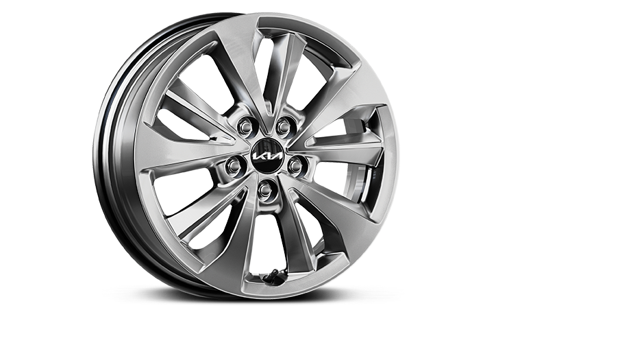 17-inch 235/65R17 alloy wheel (B-type)